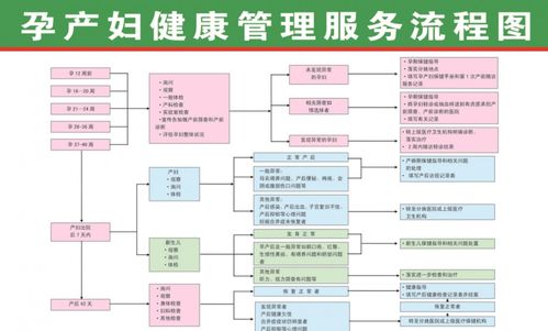 读懂国家免费提供基本公共卫生服务项目